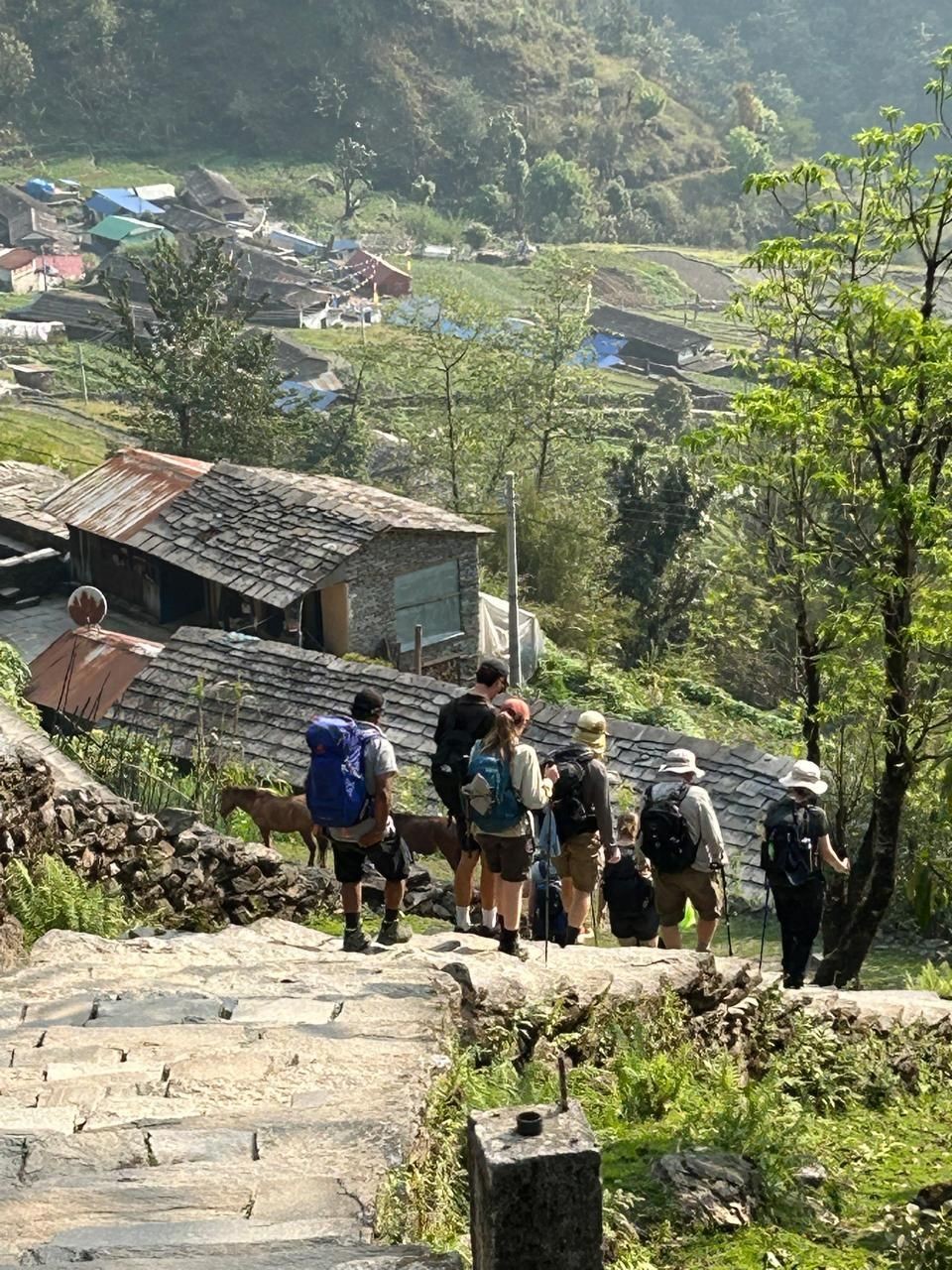 Walking Holidays