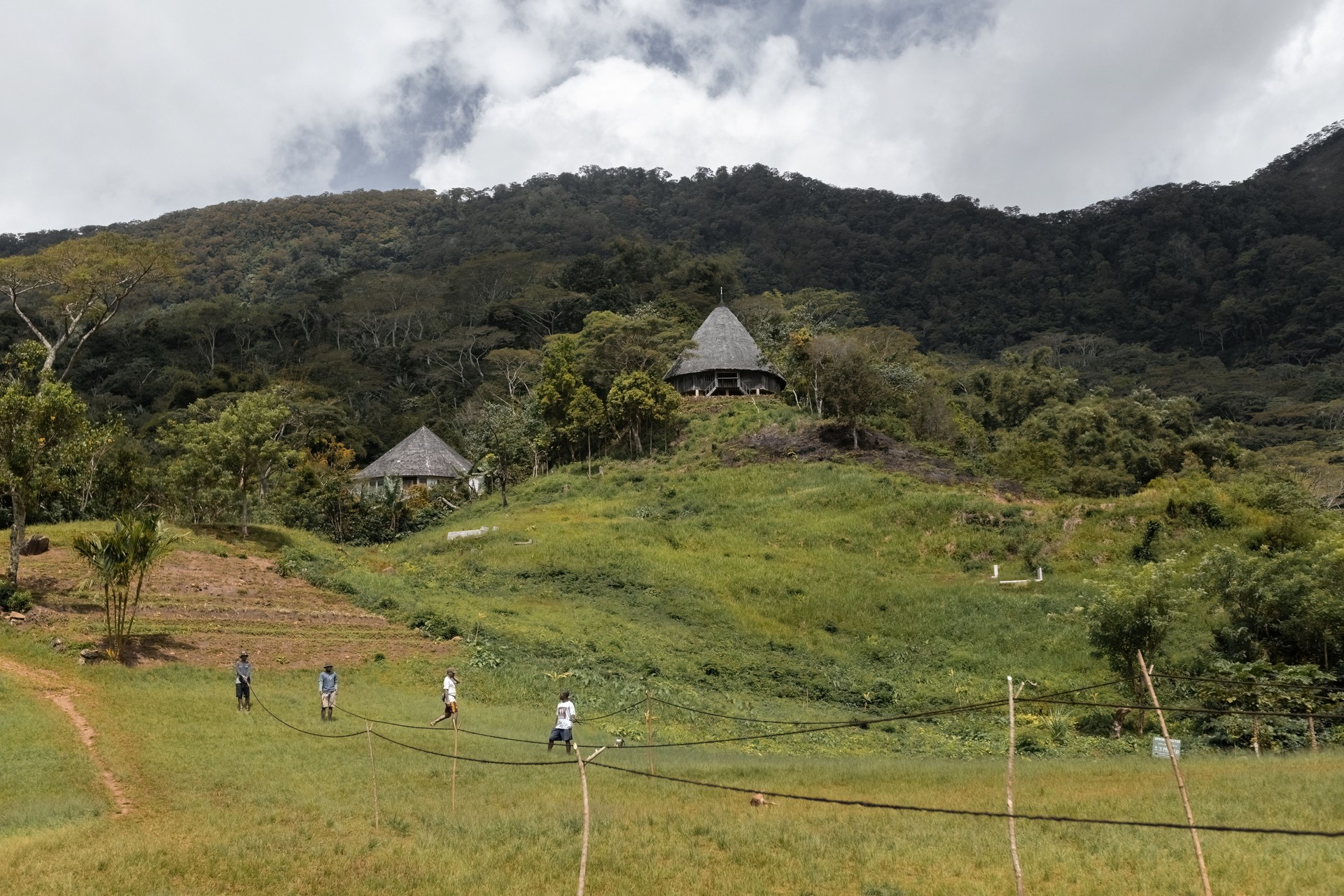 Wae Rebo traditional village the house roofs covered with straw remote indonesian village Labuan Bajo Indonesia