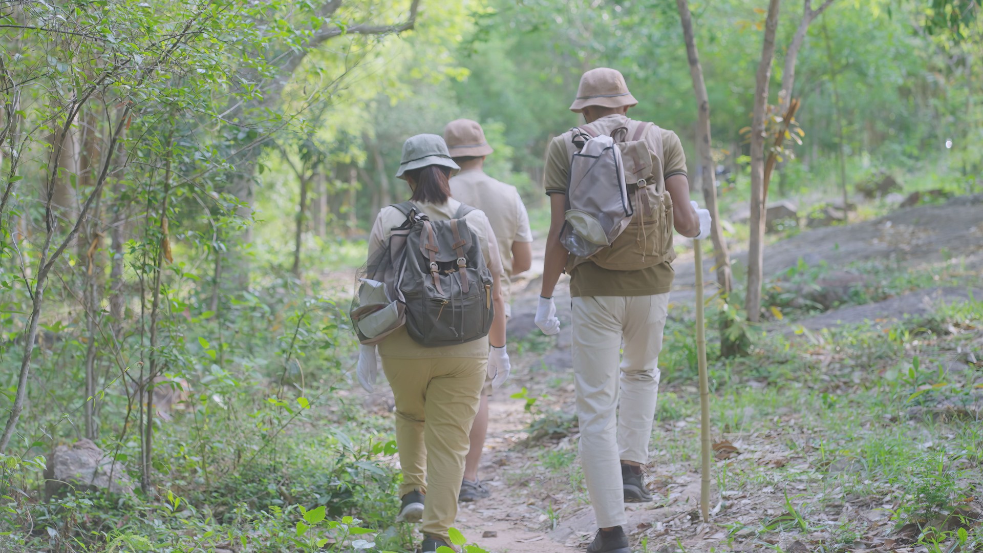 Eco-Friendly Forest Hike with Litter Cleanup by Volunteers