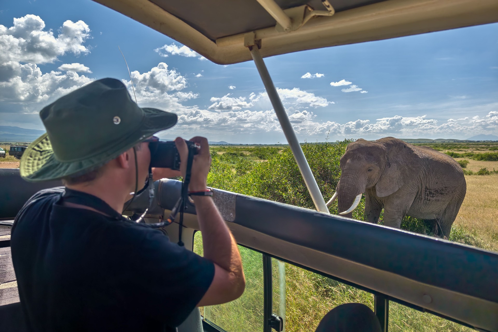 Photographer taking pictures of an African elephants, wild animal, safari game drive, Eco travel and tourism, national park, South Africa